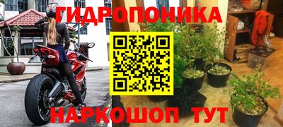 гашик Краснознаменск