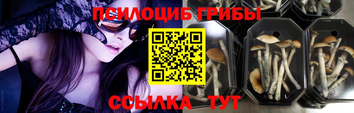 Псилоцибиновые грибы мухоморы Ярцево
